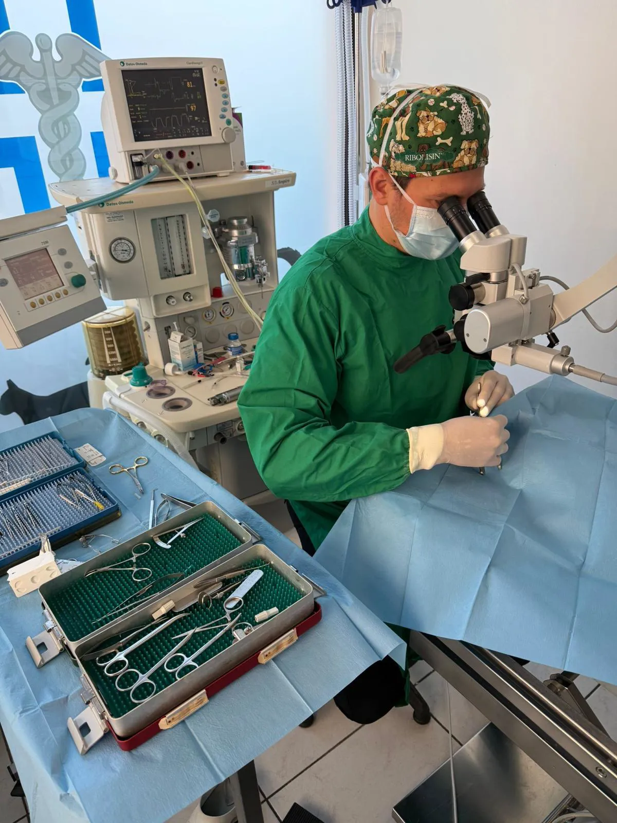 Studio oculistico veterinario Verona