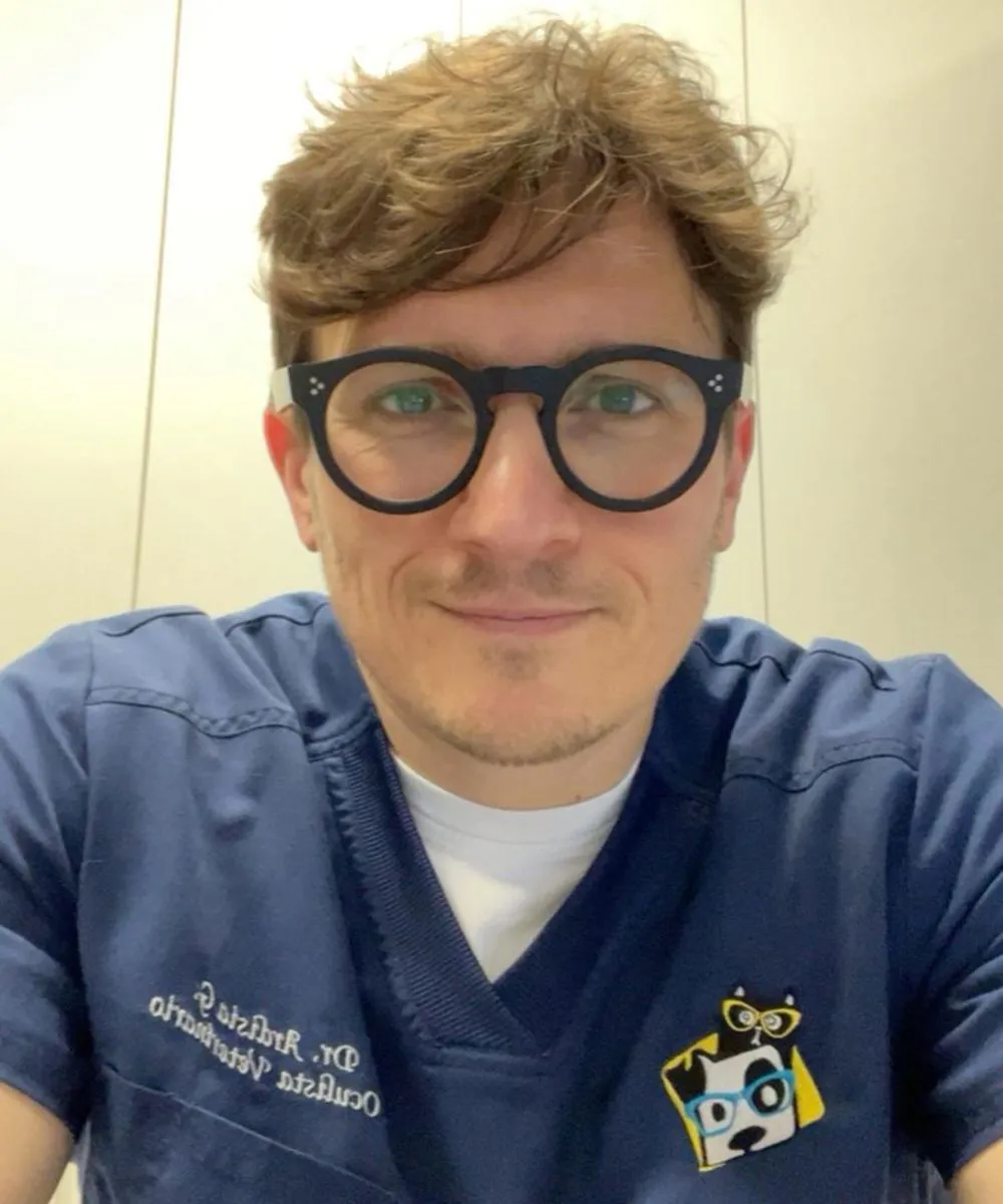Veterinario oculista durante esame oftalmico su gatto - Clinica Verona